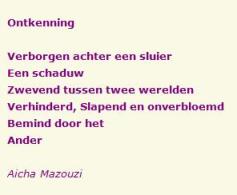 Merhaba_ontkenning001b