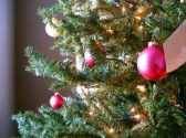 Xmas tree.jpg